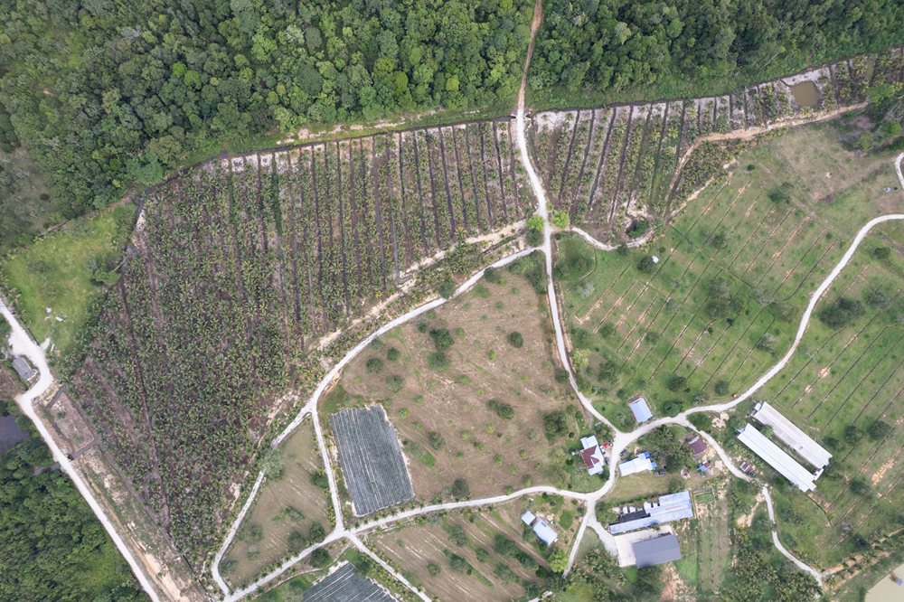 DJI_0130